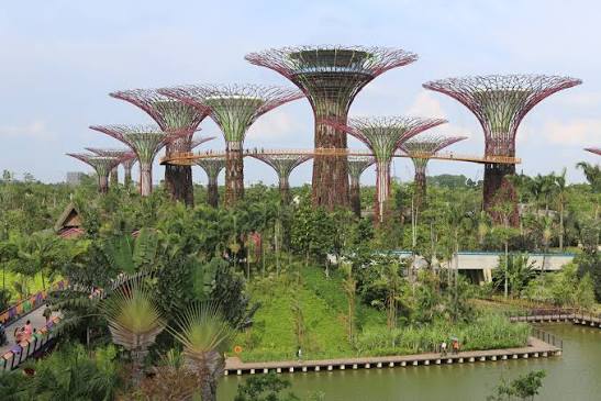 Gardens by the Bay (New Flower Dome and Cloud Forest with Jurassic World: The Experience) and Marina Bay SkyPark (Non Peak)